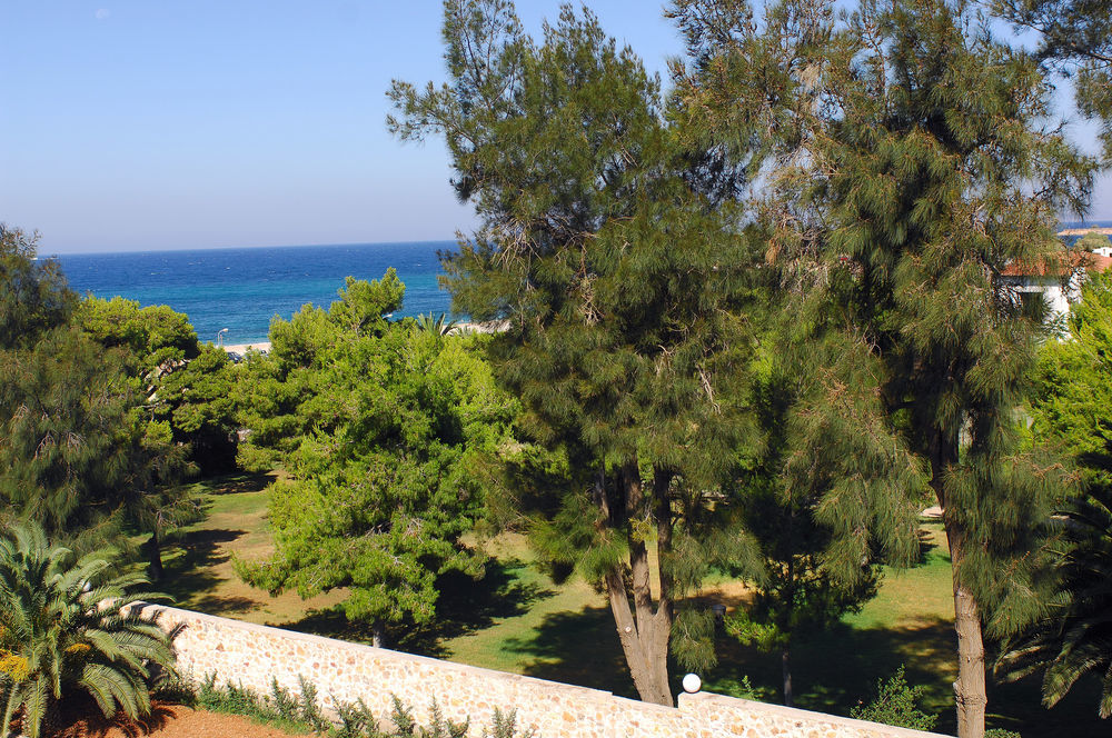Palmyra Athen